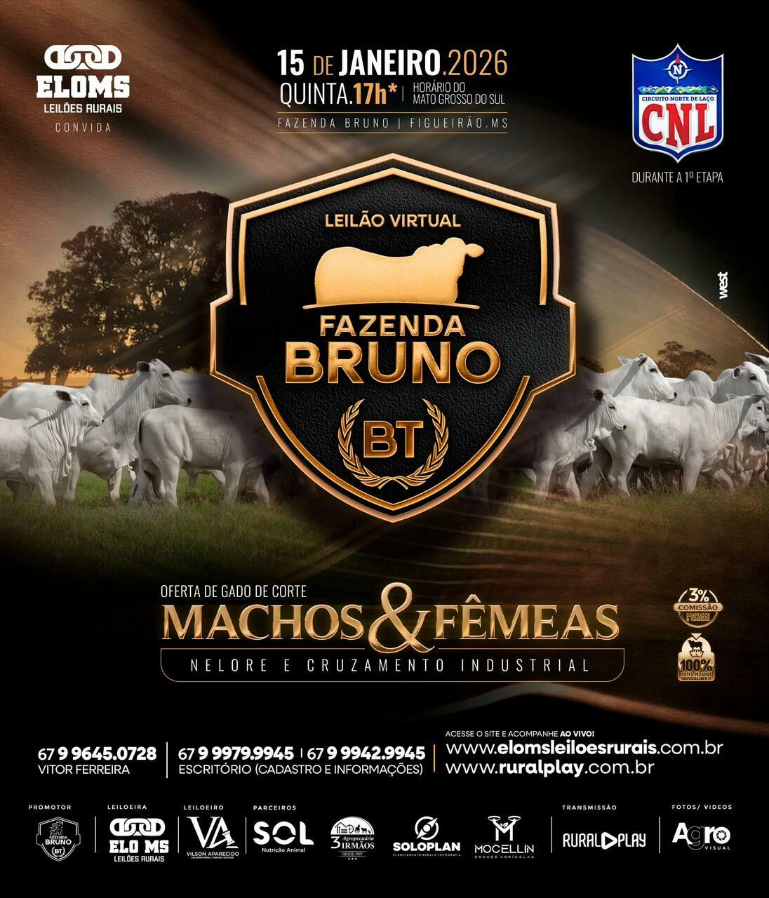 Imagem de compartilhamento para o artigo Circuito Norte de Laço Comprido inicia nesta quinta com Leilão Virtual Fazenda Bruno e segue até domingo em Figueirão da MS Todo dia